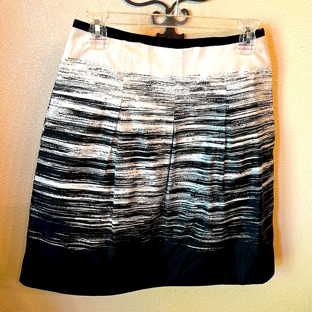 Ann Taylor Skirt